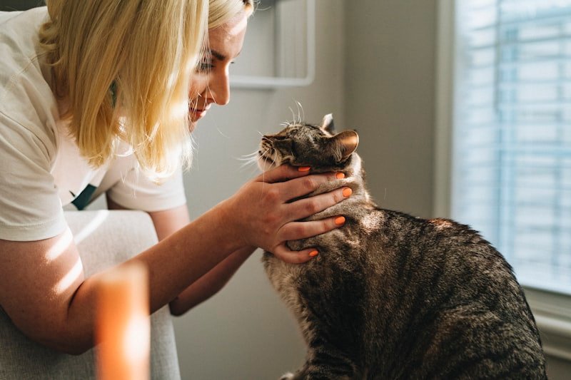 Veterinaria Patitas Felices